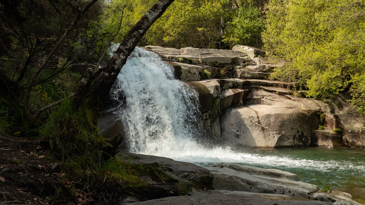 Person wearing a smartwatch checking health data