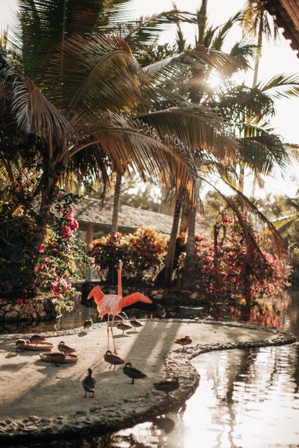 Garden Animal Encounter things to do in sarasota with kids