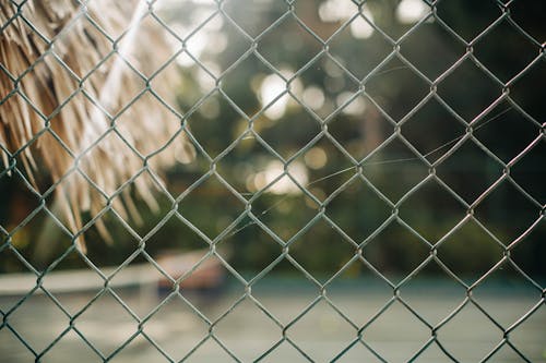 Photo of Chain-Link Fence