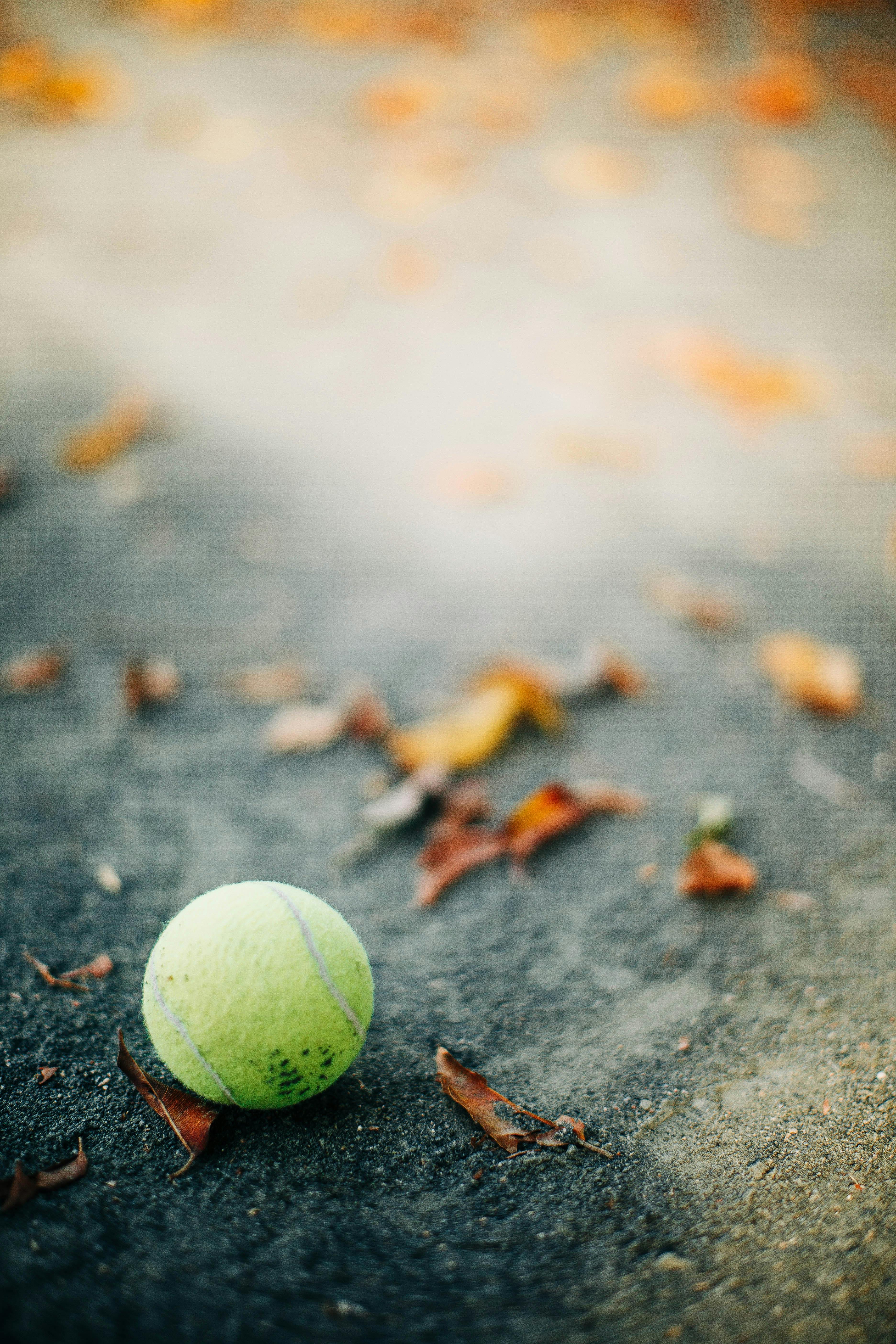 Chi tiết 100 hình nền tennis tuyệt vời nhất  Tin học Đông Hòa