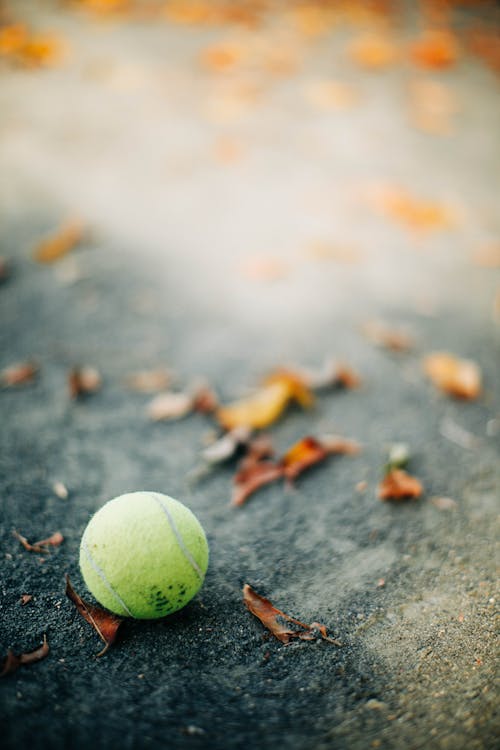 Green Tennis Ball on Gray Concrete Floor