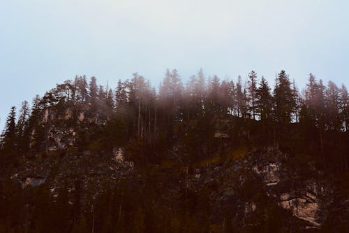 Безкоштовне стокове фото на тему «tatry, альпінізм, вид на ліс»