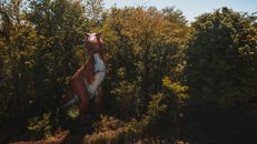 From above of graceful dragon sculpture surrounded by trees under sky in fall