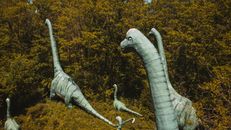 From above of stone statues of cartoon characters with long necks and tails near growing trees in fall