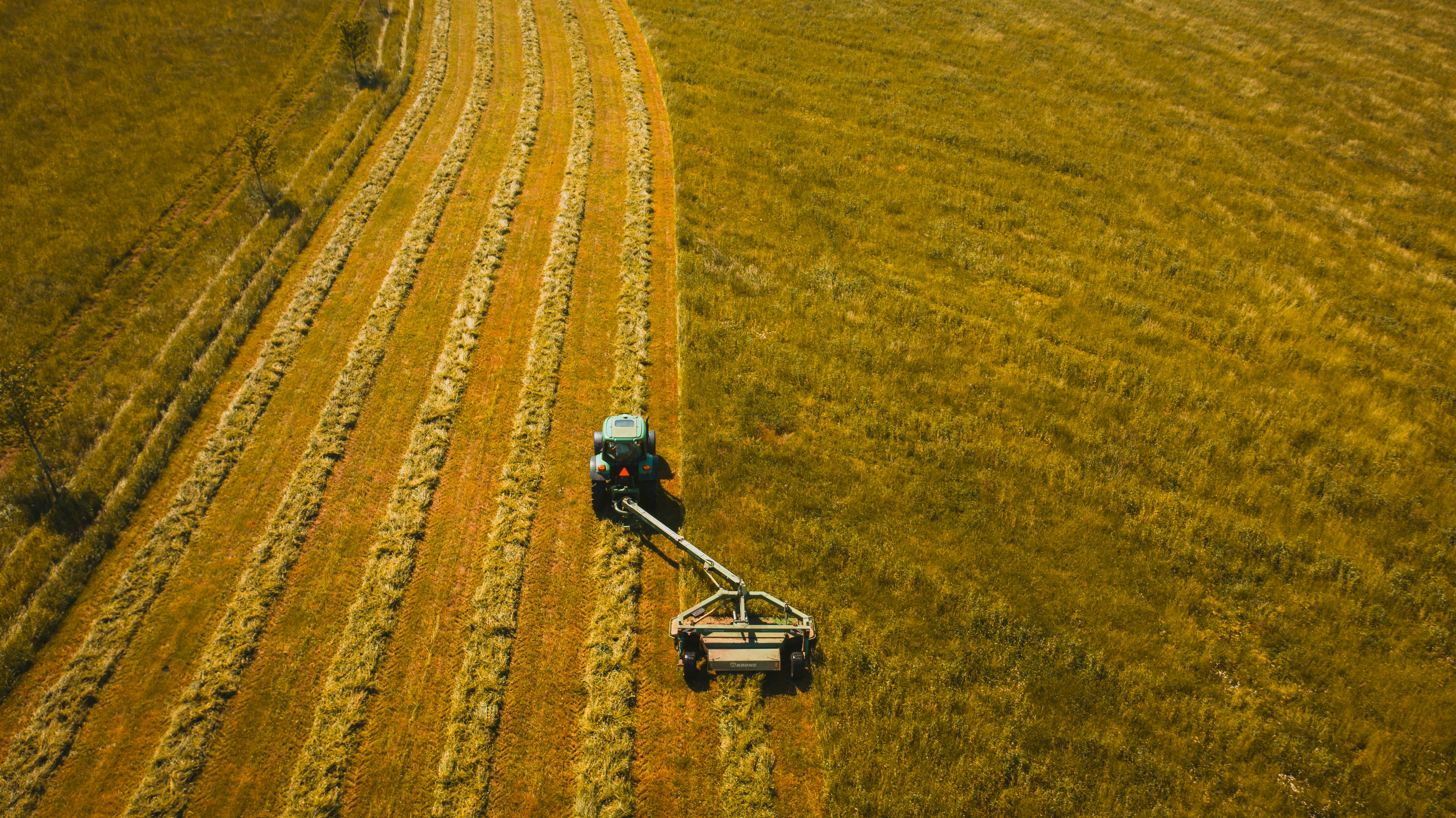 Lanciato il Comitato Europeo per l'Agricoltura e l'Alimentazione