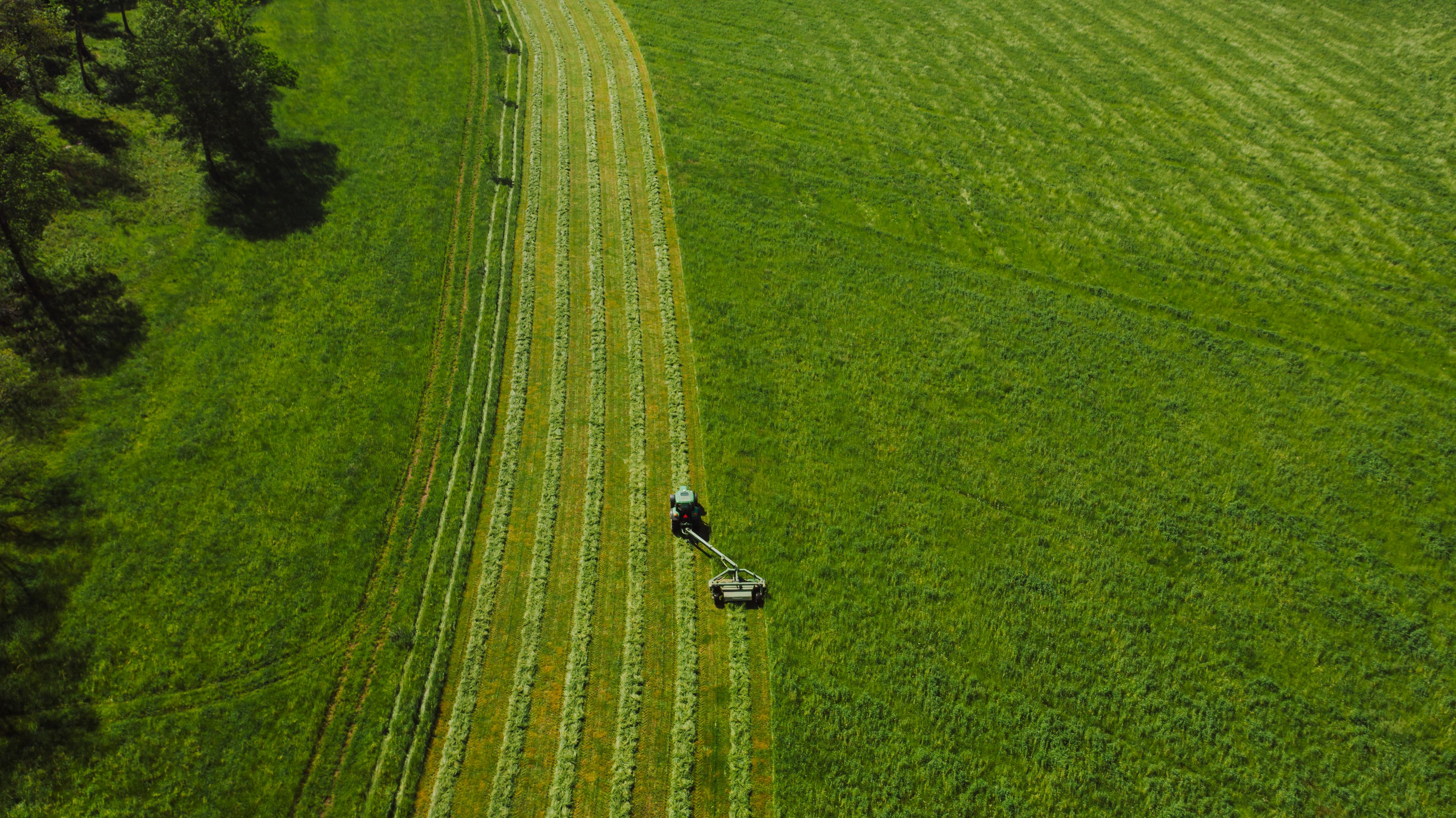 Tractor cultivating a lush green field