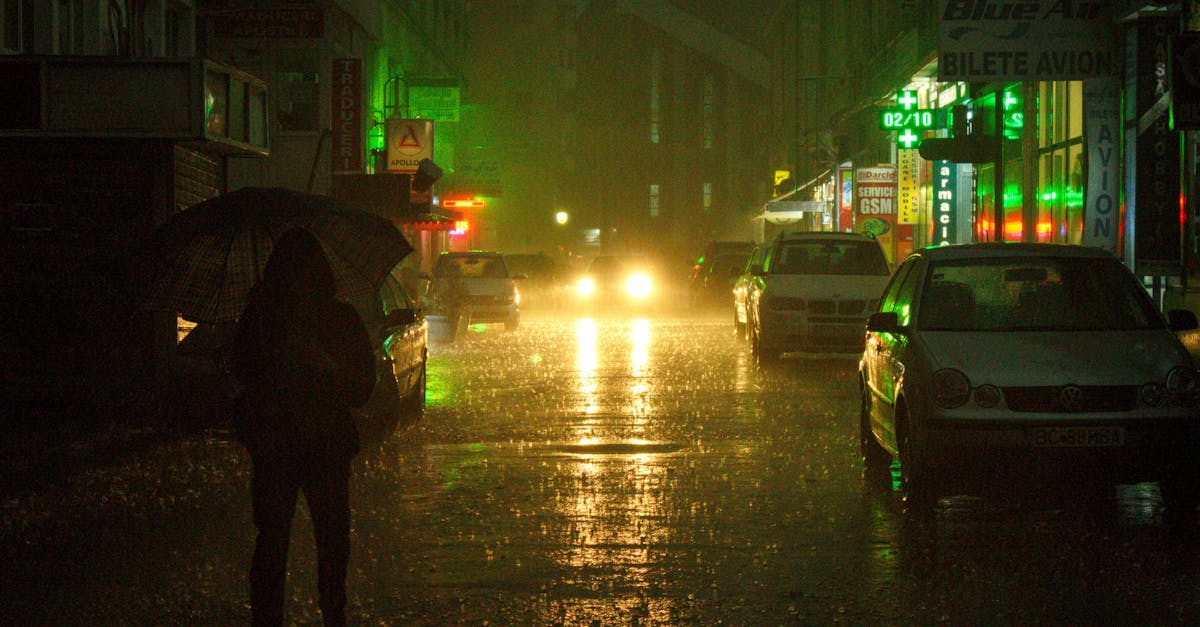 The Cartographer's Shadow 1 image text