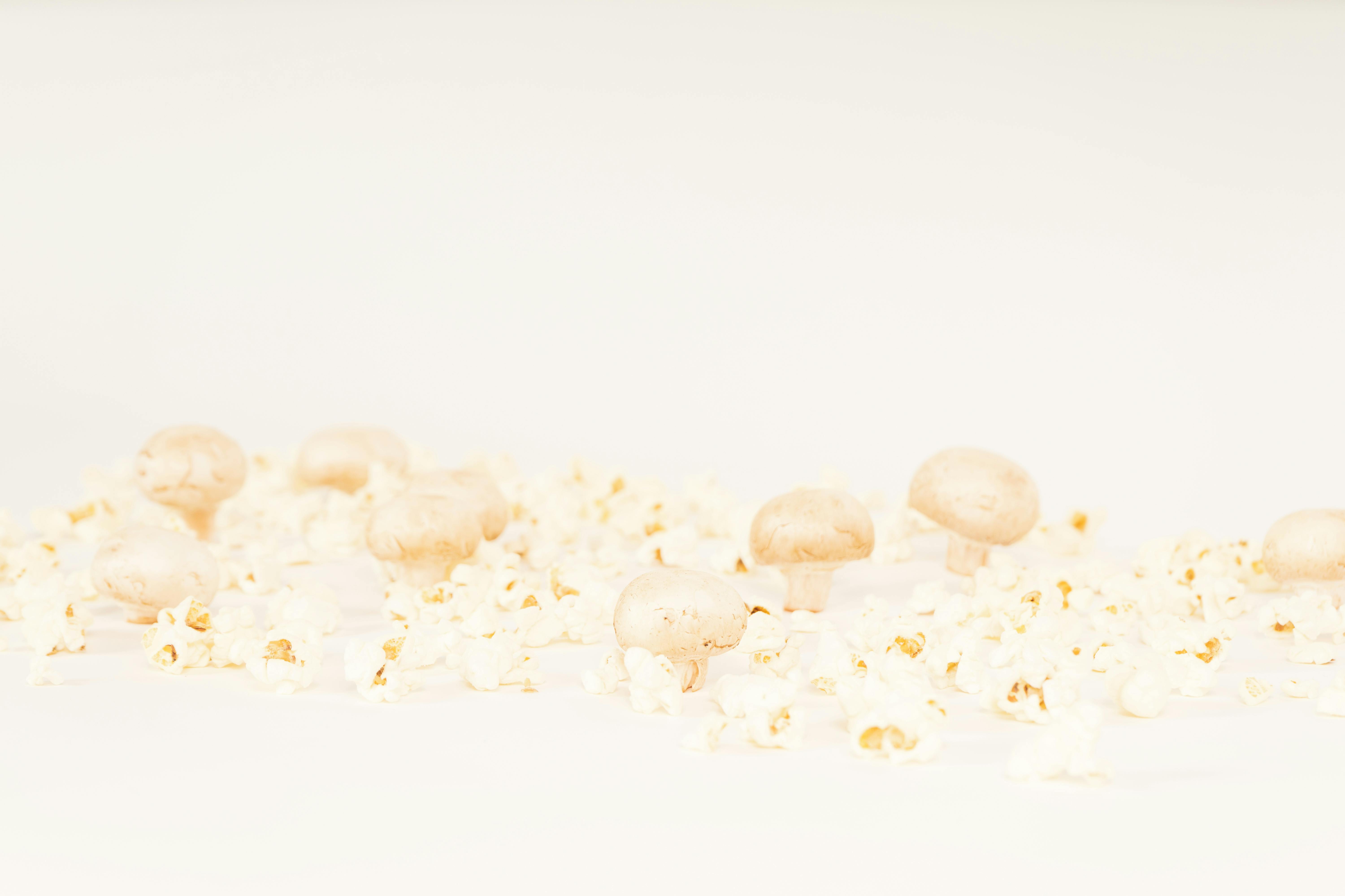 Gratuit Photos gratuites de agaricus bisporus, agencement, alimentation saine Photos