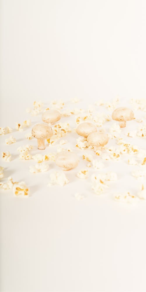 Foto profissional grátis de alimento, branco, cogumelo