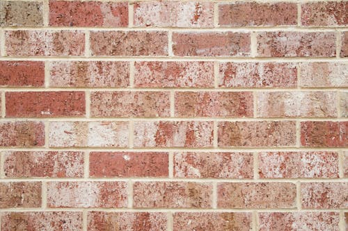 Free Brown and White Brick Wall Stock Photo