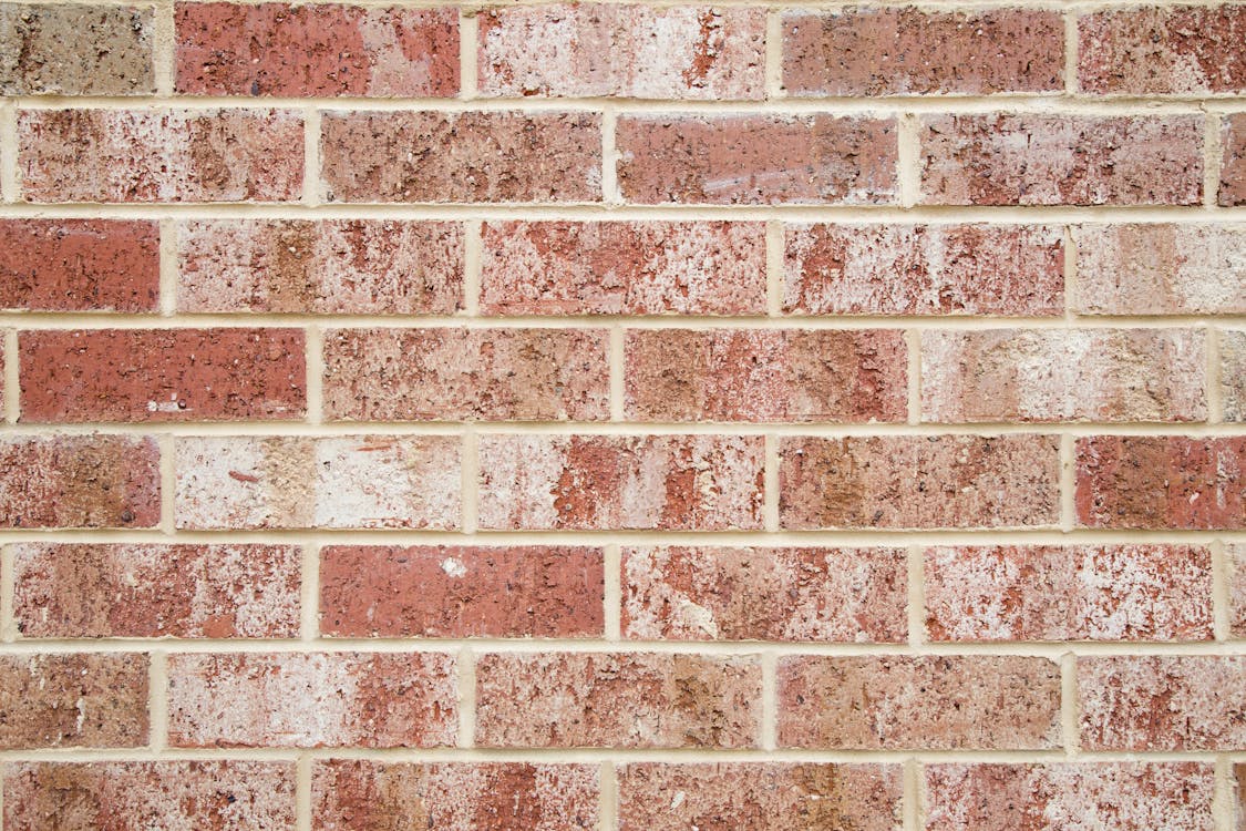 Free Brown and White Brick Wall Stock Photo