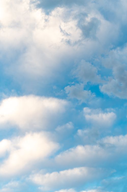 Free From below scenery view of bright blue sky with white shining clouds in daytime Stock Photo