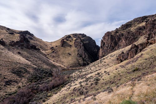 Fotos de stock gratuitas de al aire libre, ambiente, armonía