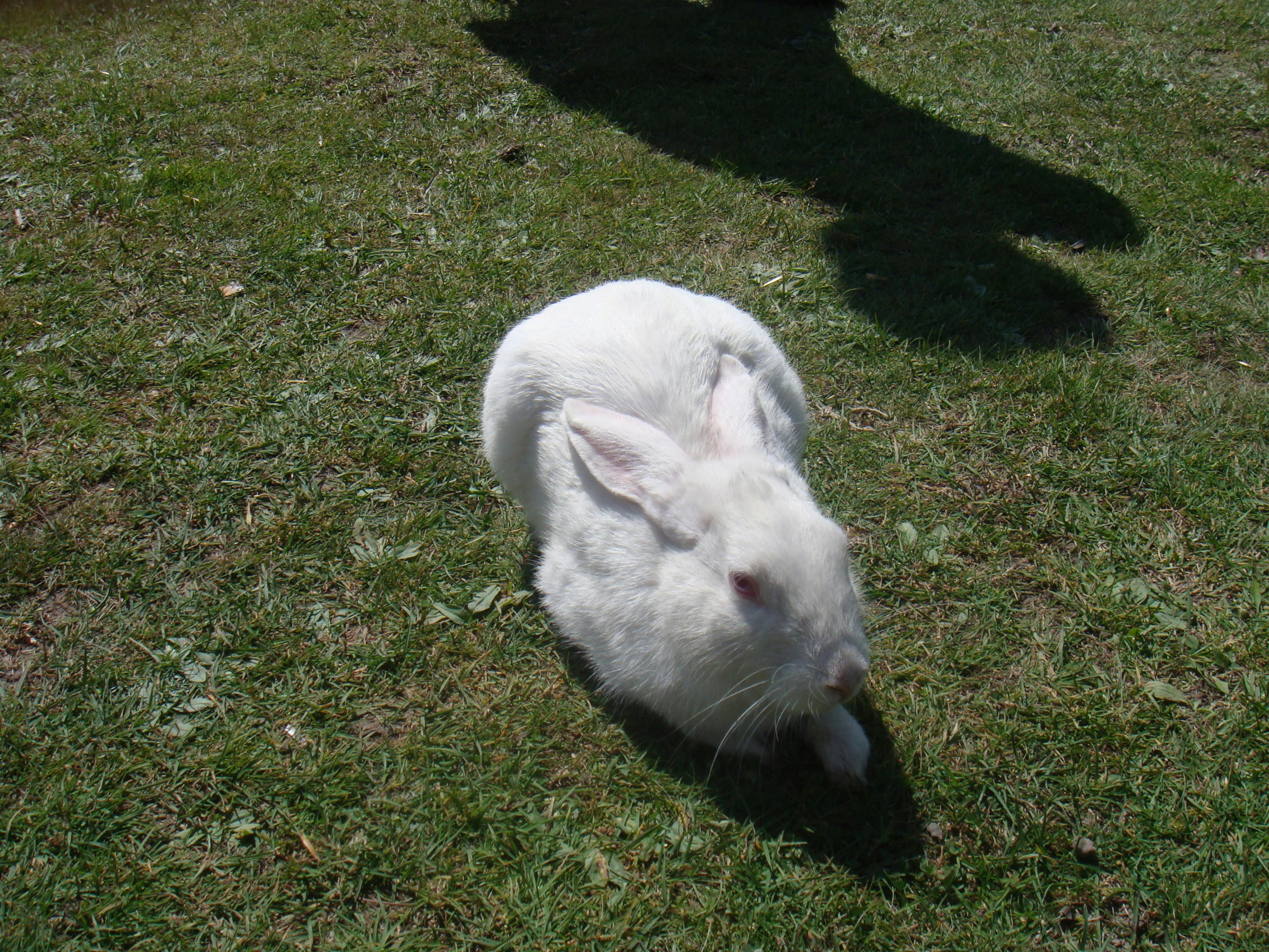 Entrepreneur doing stretches after work