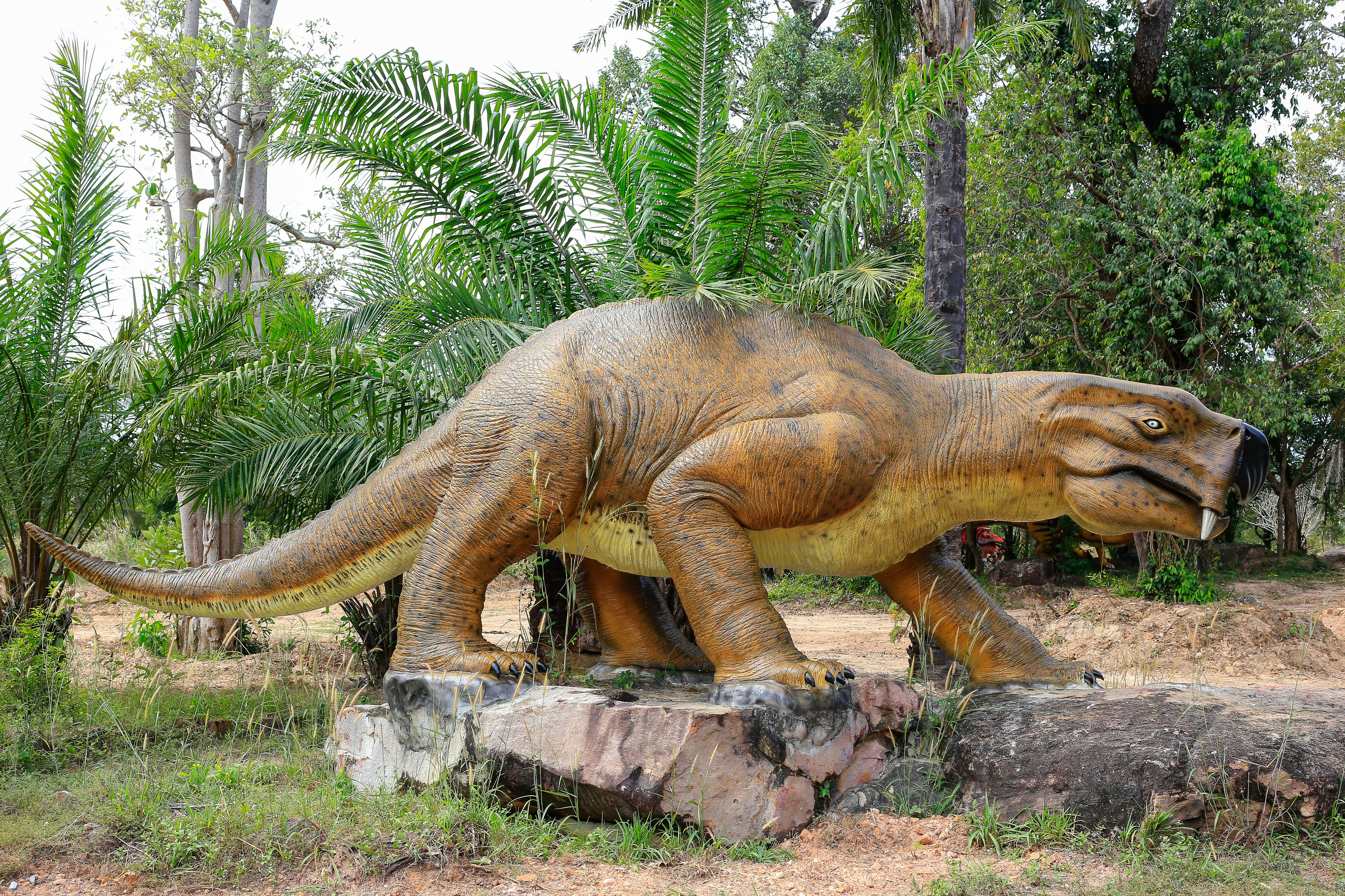 恐竜の庭 恐竜モデルの無料の写真素材