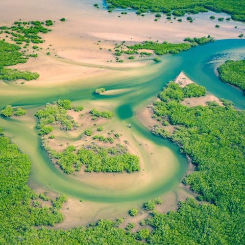 Free Aerial view of scenic narrow green blue river running through sandy valley covered with abundant tropical forest Stock Photo