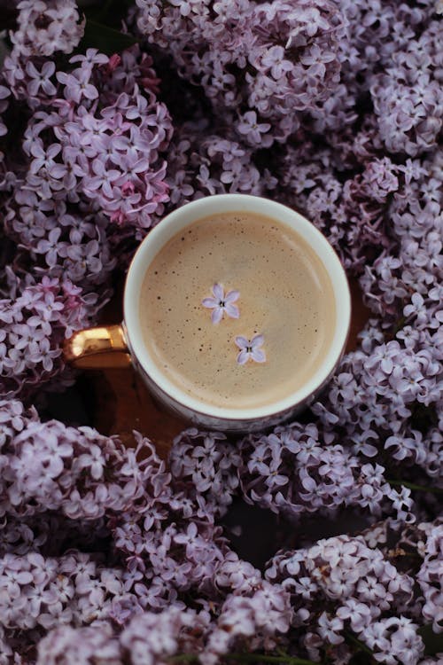 From above composition of hot coffee with milk with delicate lilac petals placed on table amidst abundant lilac flowers