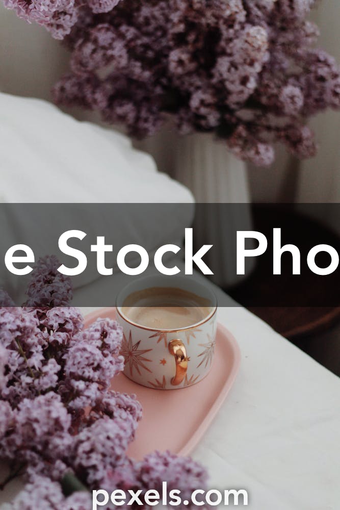 Fancy Coffee Photos, Download The BEST Free Fancy Coffee Stock Photos ...