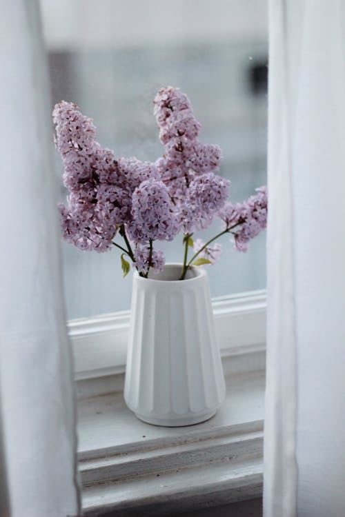 Blooming lilac flowers in white ceramic vase on windowsill