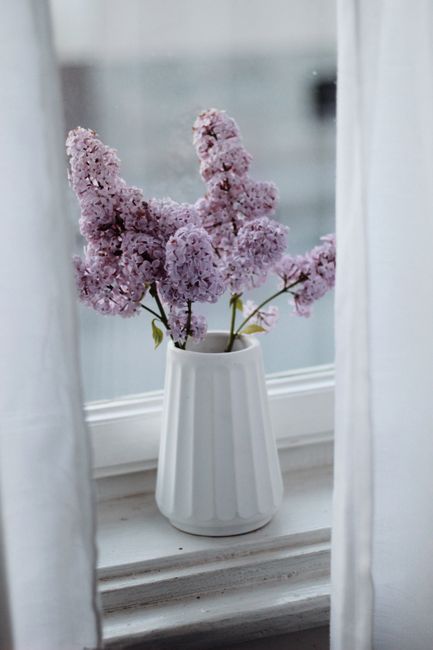 Blossoming fragrant lilac bouquet placed in stylish white vase on wooden windowsill decorated with white curtains