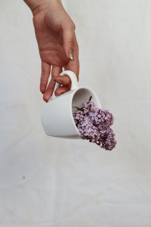 Crop anonymous female with manicured hands holding white ceramic mug filled with lilac flowers against white background