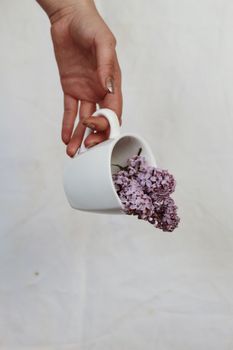 一位匿名女性手持白色陶瓷杯，杯中装满丁香花，背景为白色，她的双手修剪整齐