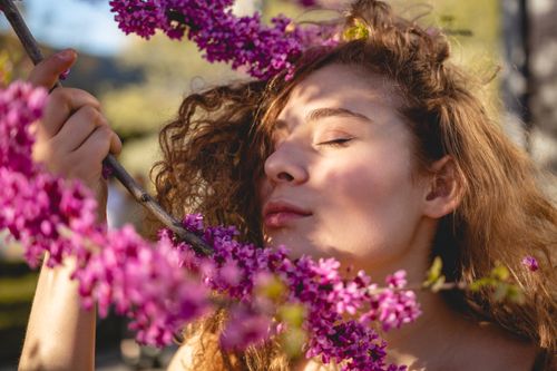 Free A woman with eyes closed enjoying a fragrant branch of pink blossoms in a sunny outdoor setting. Stock Photo
