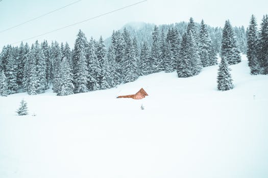 A serene winter scene with snow-covered pine trees and a wooden cabin in the mountains.