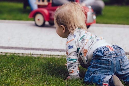 Boy Crawling on Green Grass Field