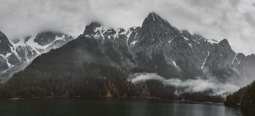 Foto d'estoc gratuïta de amb boira, arbres verds, llac