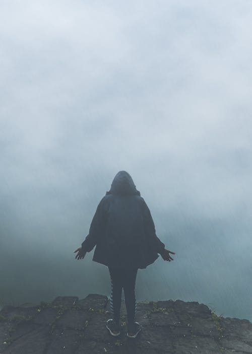 Free Back View of Person Standing in Fog Stock Photo