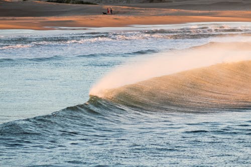 Free Foamy waves of powerful rippling ocean splashing near wide sandy beach during sunset Stock Photo