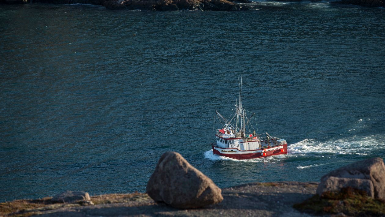 Boat Moving on Water Near Rock · Free Stock Photo