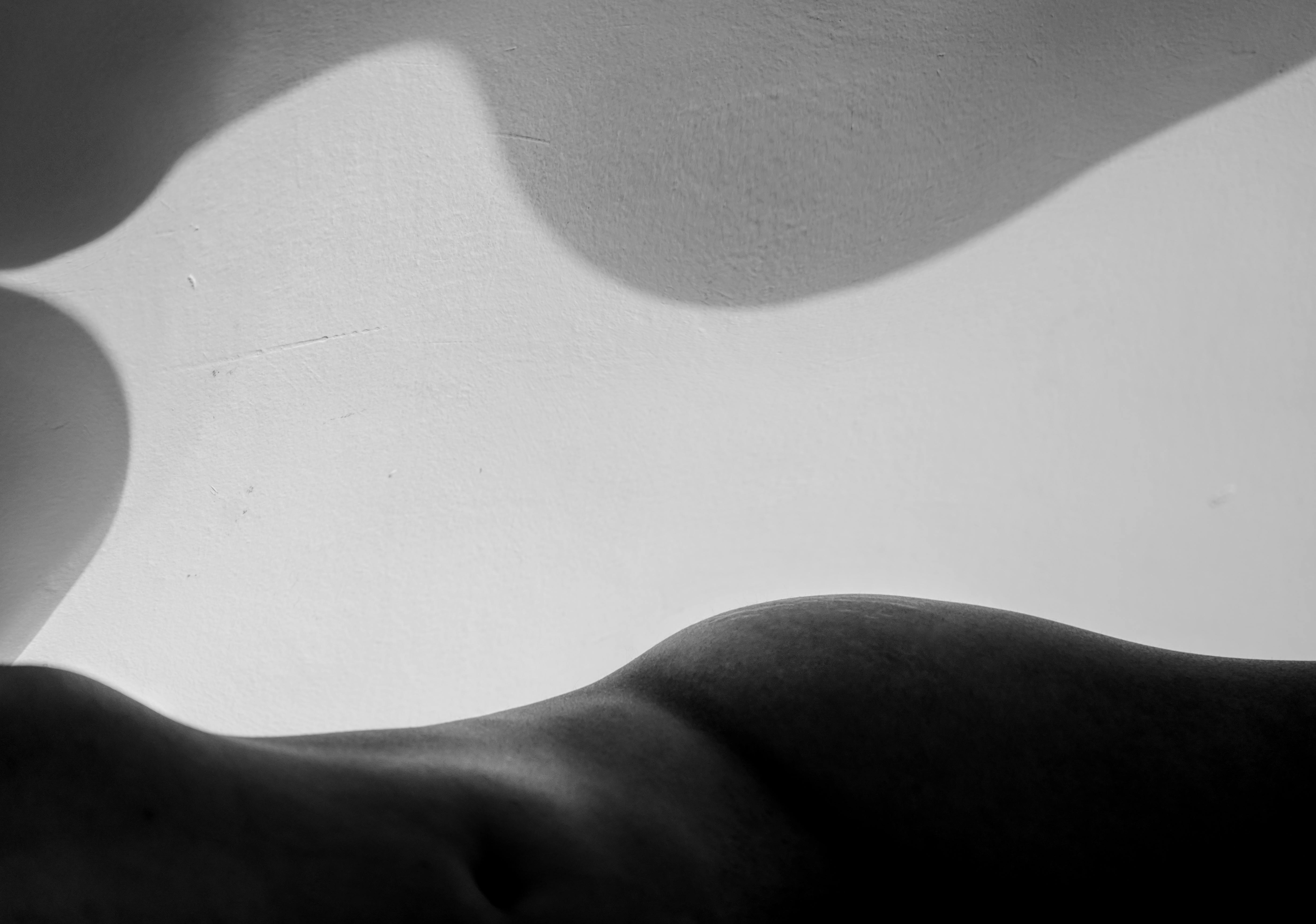 Black and White Shot of Naked Body of Woman · Free Stock Photo