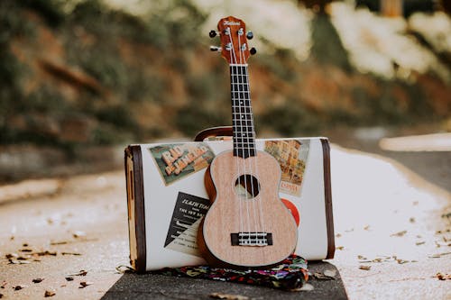 Free Wooden soprano ukulele placed on asphalt road with stylish suitcase on sunny autumn day Stock Photo