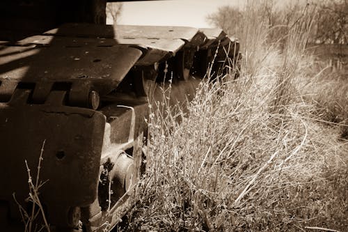 Free stock photo of farm, tractor, vintage