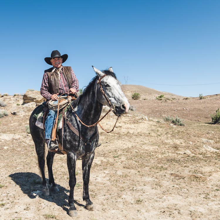 Cheerful Cowboy Riding Horse In Desert Valley