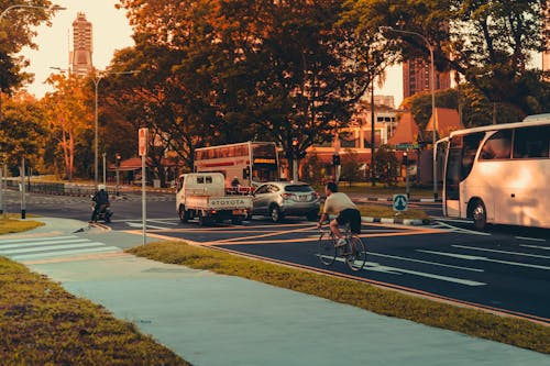 Free Side view of anonymous man riding bicycle on asphalt road near vehicles during sunrise in city center Stock Photo