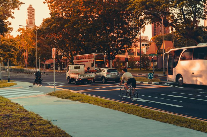 Side view of anonymous man riding bicycle on asphalt road near vehicles during sunrise in city center