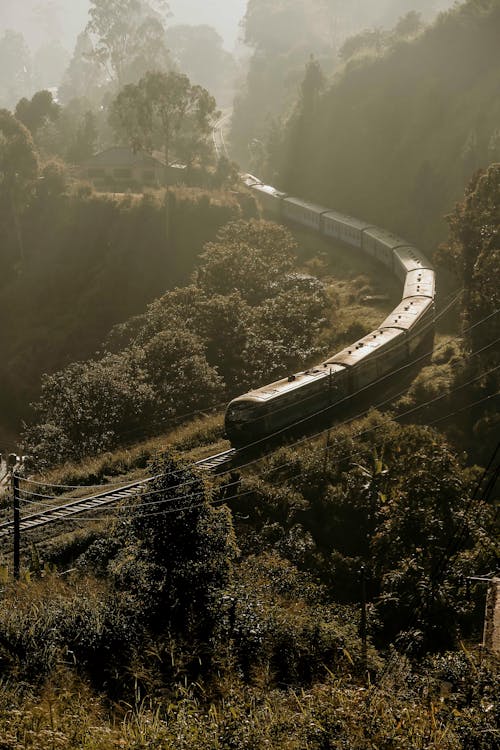 A Locomotive Train Traveling a Mountain Railroad