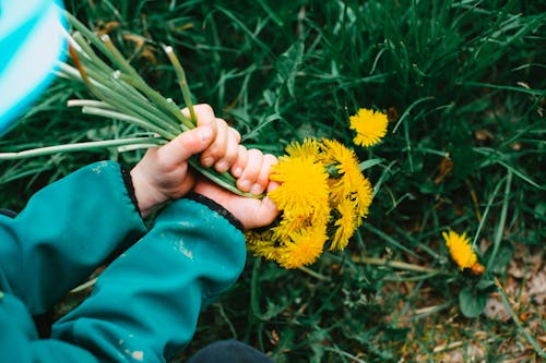 Person Holding Bouquet of Yellow Flowers