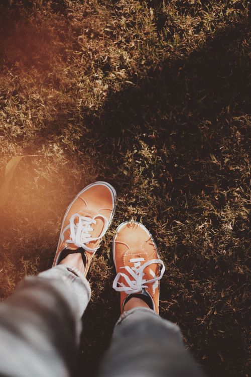 Free Close-up of casual sneakers on grass with warm, natural sunlit tones. Stock Photo