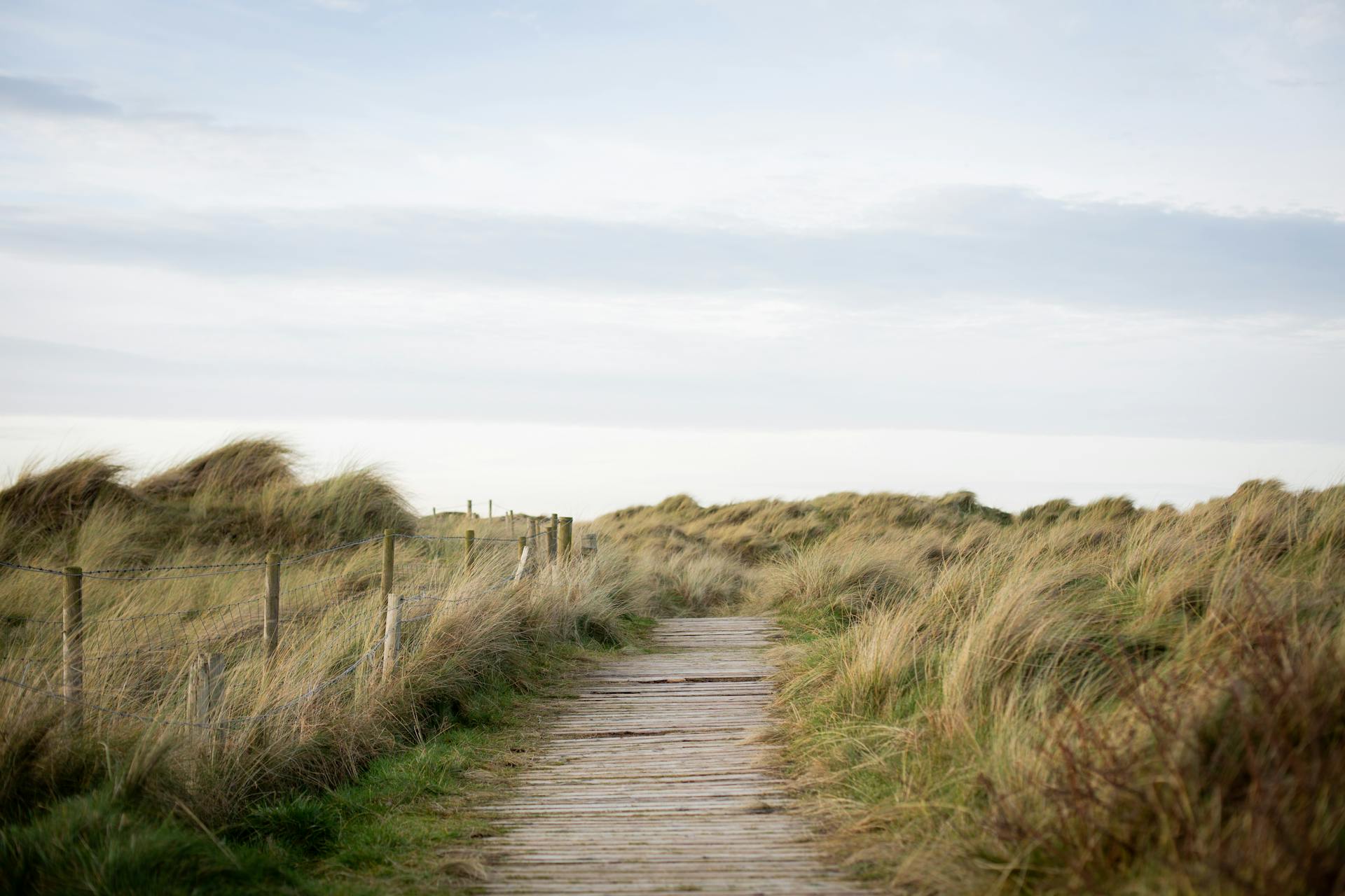 Idyllic boardwalk through grassy dunes in Northern Ireland with a clear sky.