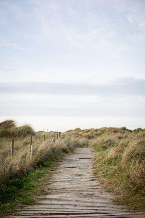 Free A peaceful boardwalk in Northern Ireland amidst grassy dunes under a clear sky. Stock Photo