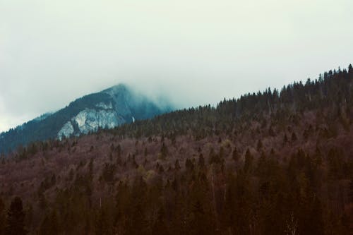 Безкоштовне стокове фото на тему «tatry, альпінізм, вершина гори»