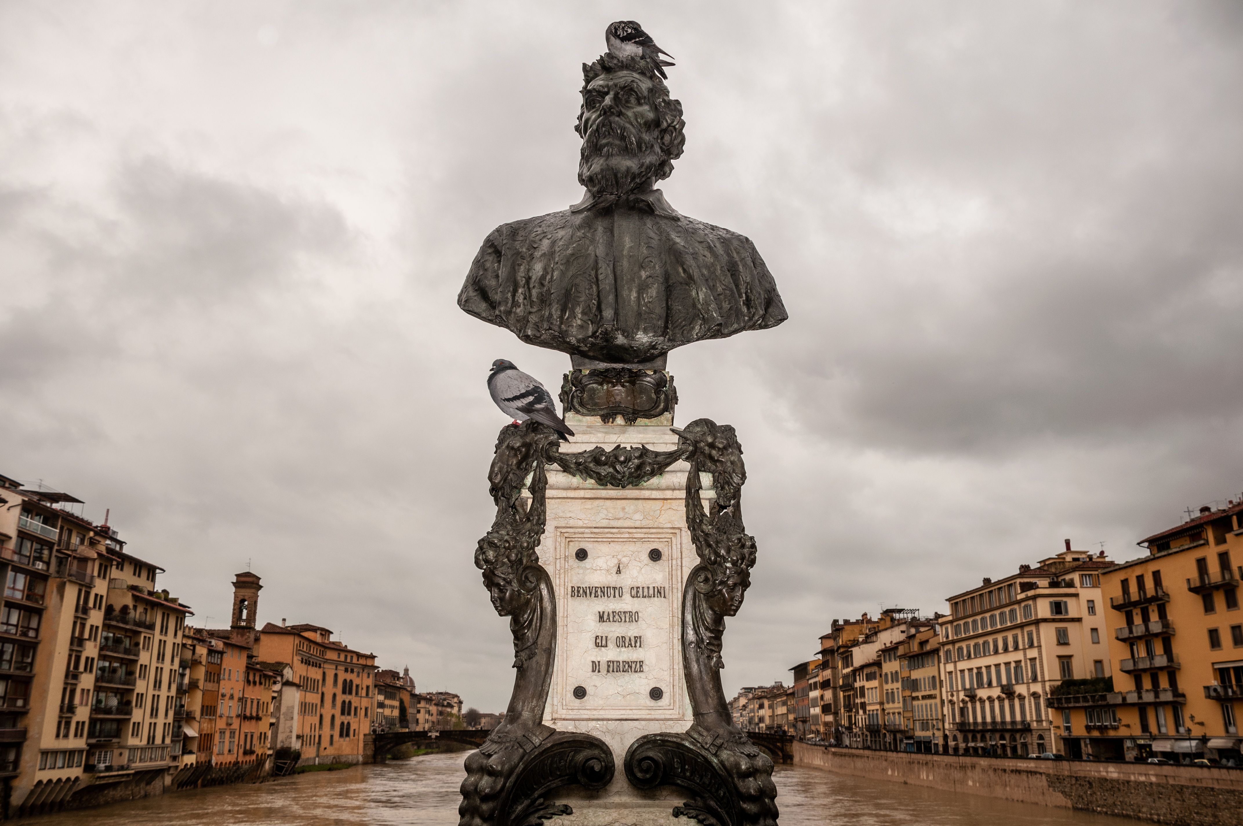 Free Stock Photo From Donatello Pexels