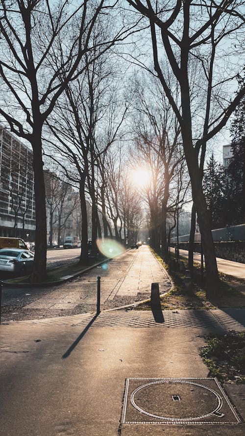 Free stock photo of alley way, big city, capital