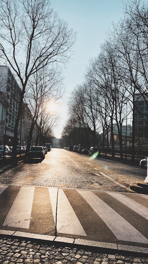 Free stock photo of alley, big city, cityscape