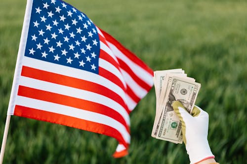 American flag and crop unrecognizable person with pile of dollars