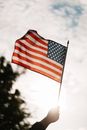 Low angle of crop faceless person holding spiky stick with flag of USA under cloudy sky and tree in back lit on blurred background